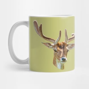 Fallow Buck in velvet Mug